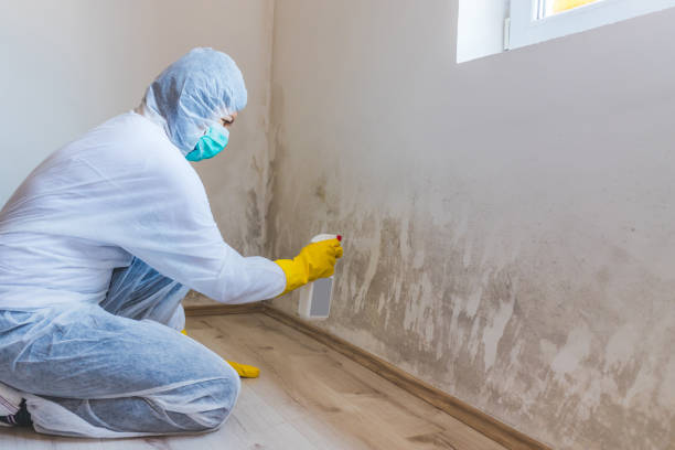 Licensed Crawl Space Mold Removal service in Secaucus, NJ - WQB Mold Removal