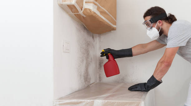 Professional Crawl Space Mold Removal technician working in Secaucus, NJ