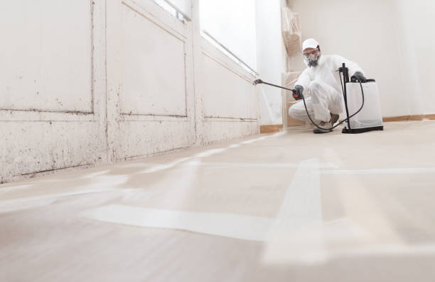 24/7 Emergency Crawl Space Mold Removal experts in Secaucus, NJ