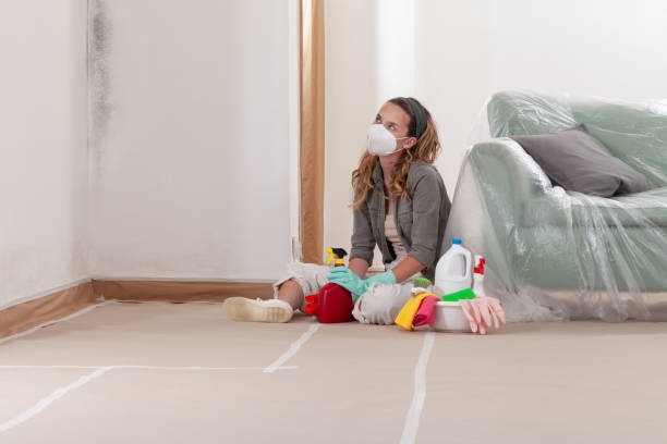 Reliable Crawl Space Mold Removal contractor in Secaucus, NJ by WQB Mold Removal