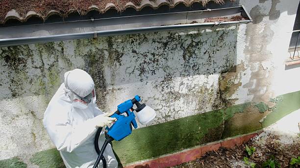 Top rated local Crawl Space Mold Removal specialists in Secaucus, NJ